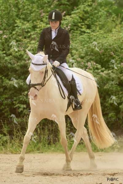 DOMA08062025M-105