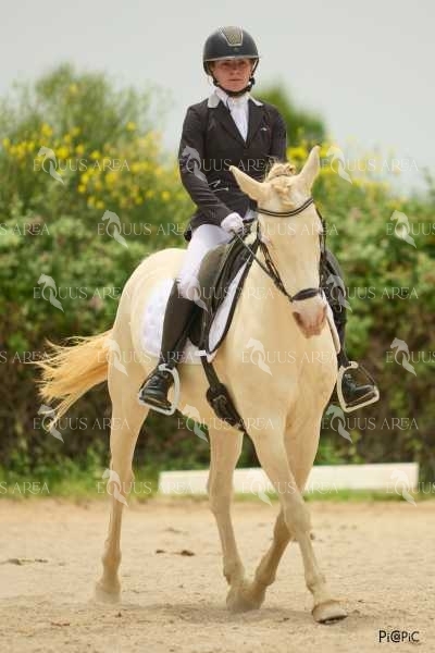 DOMA08062025M-124