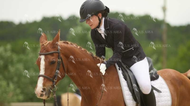 DOMA08062025M-132