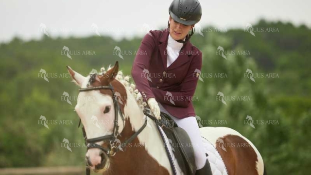 DOMA08062025M-138