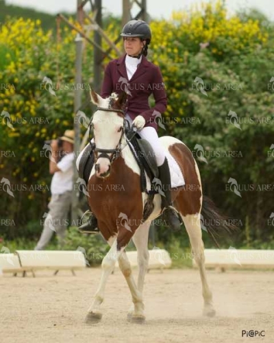 DOMA08062025M-143