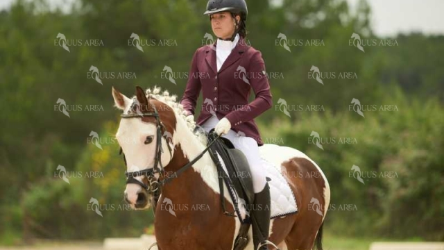 DOMA08062025M-146