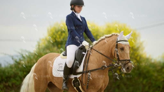 DOMA08062025M-161