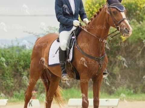 DOMA08062025M-183