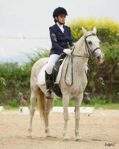 DOMA08062025M-191
