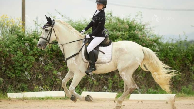 DOMA08062025M-210