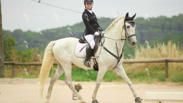 DOMA08062025M-213