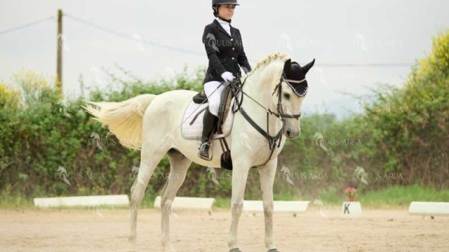 DOMA08062025M-216