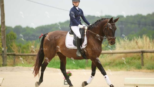 DOMA08062025M-221