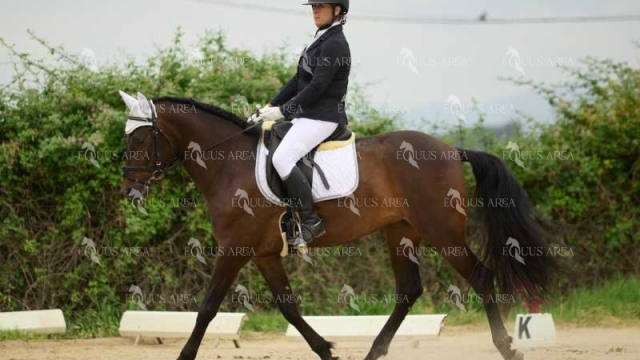 DOMA08062025M-227