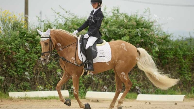 DOMA08062025M-245