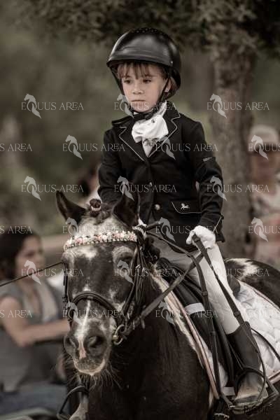 DOMA08062025S-407
