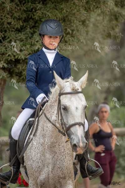 DOMA08062025S-441