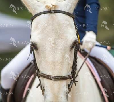 DOMA08062025S-543