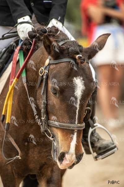 DOMA08062025S-554