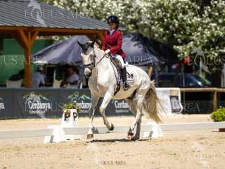 Alevines Equipos | Miércoles 10 Julio