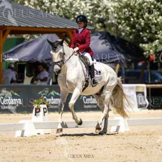 Alevines Equipos | Miércoles 10 Julio