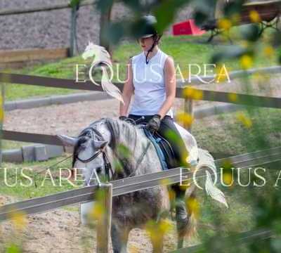 IMG_7812
