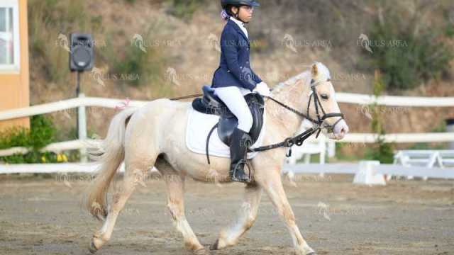 EQ-002-04