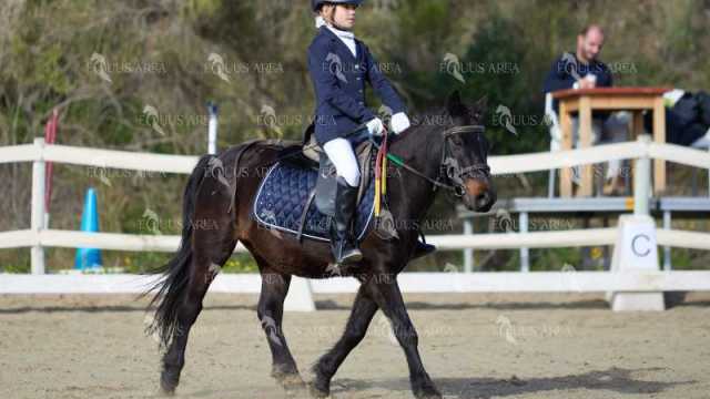 EQ-002-101