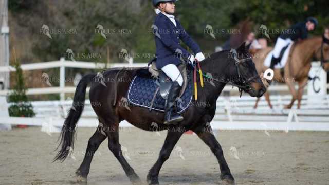 EQ-002-102