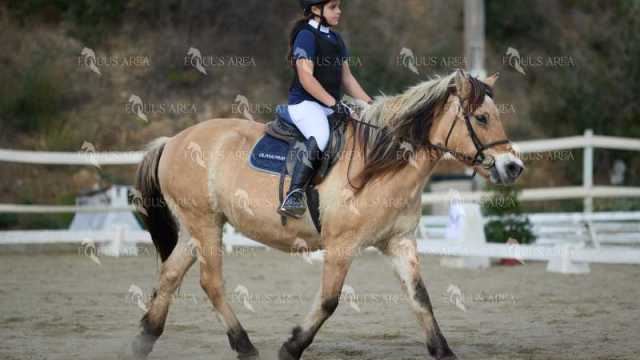 EQ-002-117