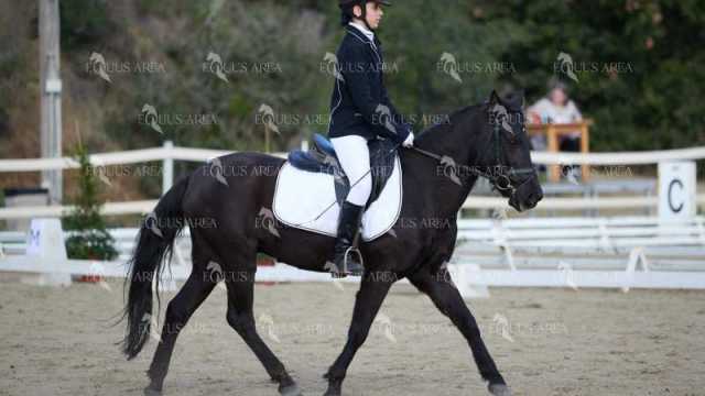 EQ-002-78