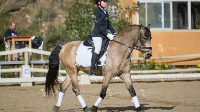 EQ-002-83