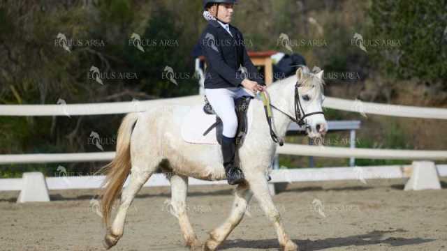 EQ-002-98