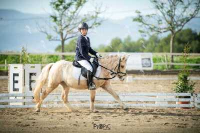 EQ-003-108