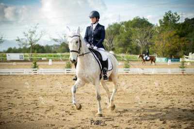 EQ-003-119