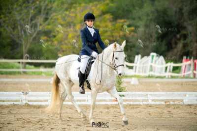 EQ-003-133