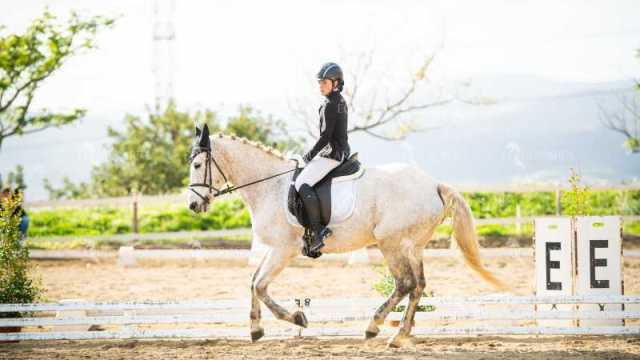 EQ-003-194
