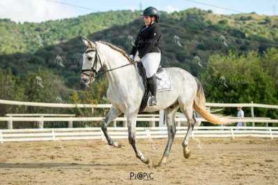 EQ-003-240