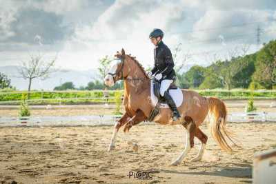 EQ-003-255