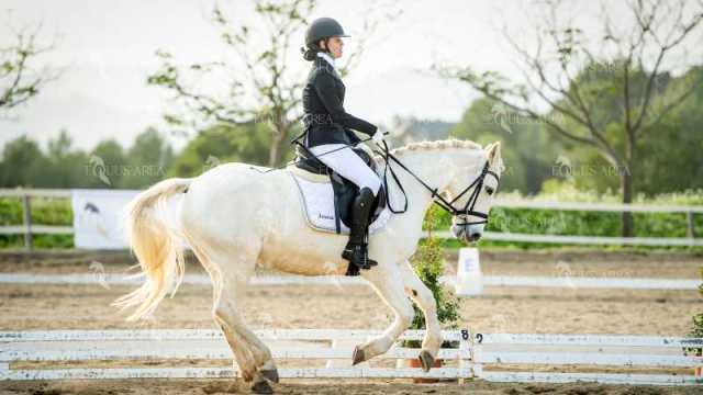 EQ-003-299