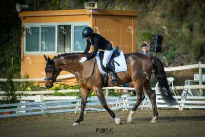 EQ-003-30