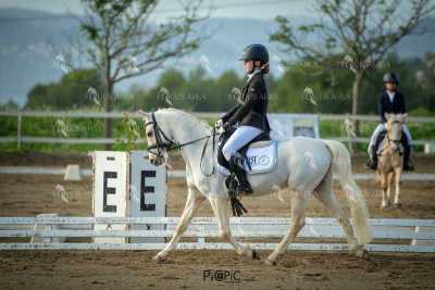 EQ-003-37