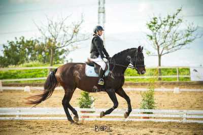 EQ-003-82