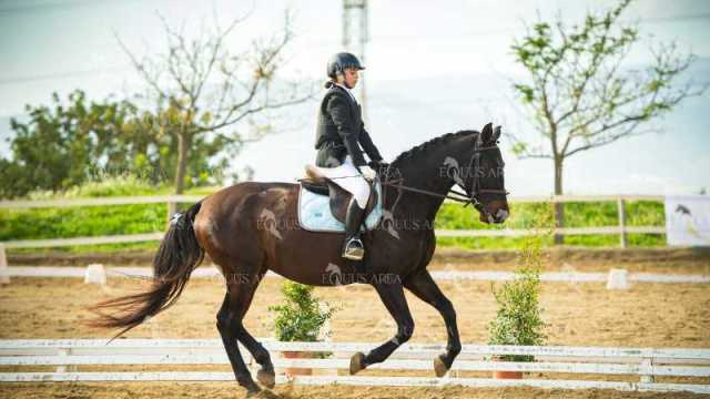 EQ-003-82