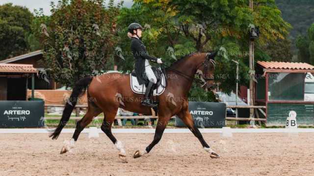BRO_3646-Mejorado-NR