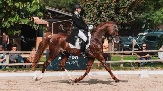 BRO_4566-Mejorado-NR