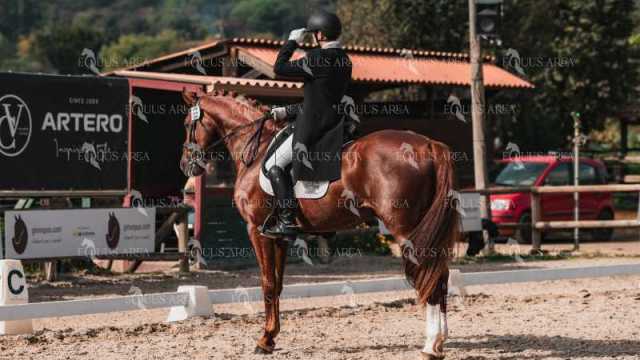 BRO_4606-Mejorado-NR