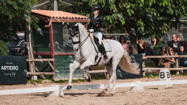 BRO_4689-Mejorado-NR