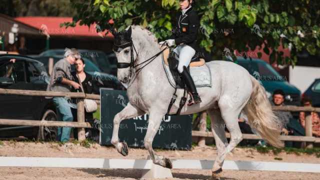 BRO_4696-Mejorado-NR