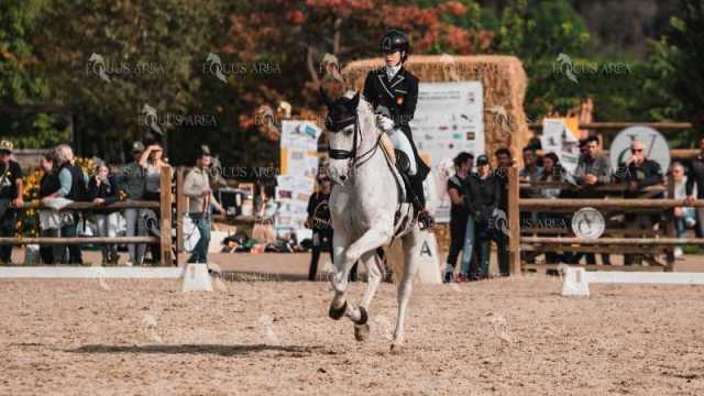 BRO_4730-Mejorado-NR