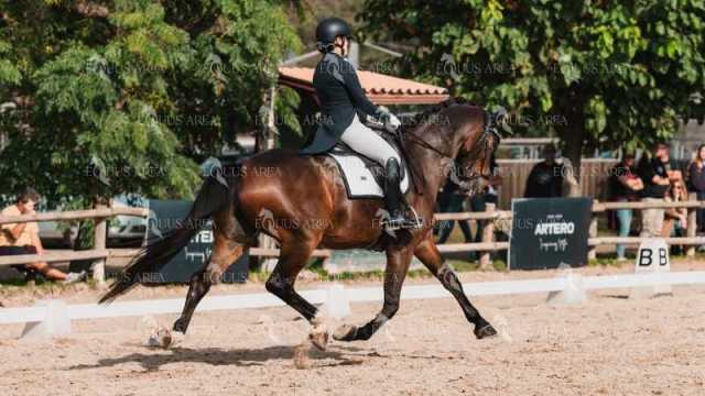 BRO_4850-Mejorado-NR