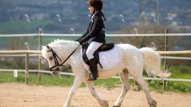 DOMA06042025O-040