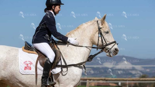 DOMA06042025O-197