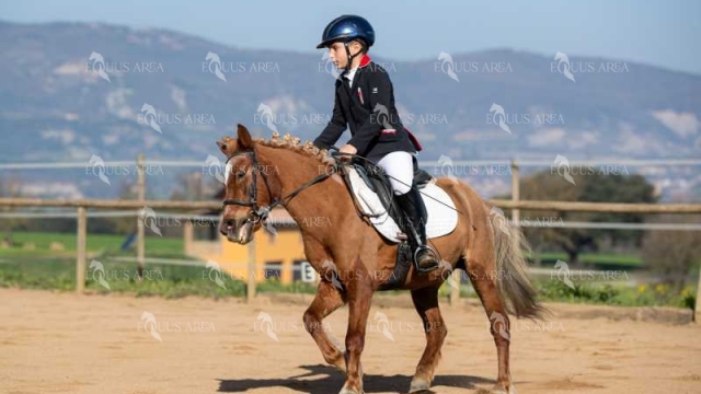 DOMA06042025O-259